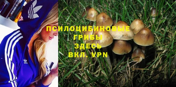 mdpv Зеленокумск