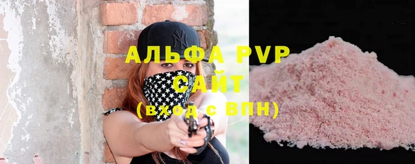 СК Инта